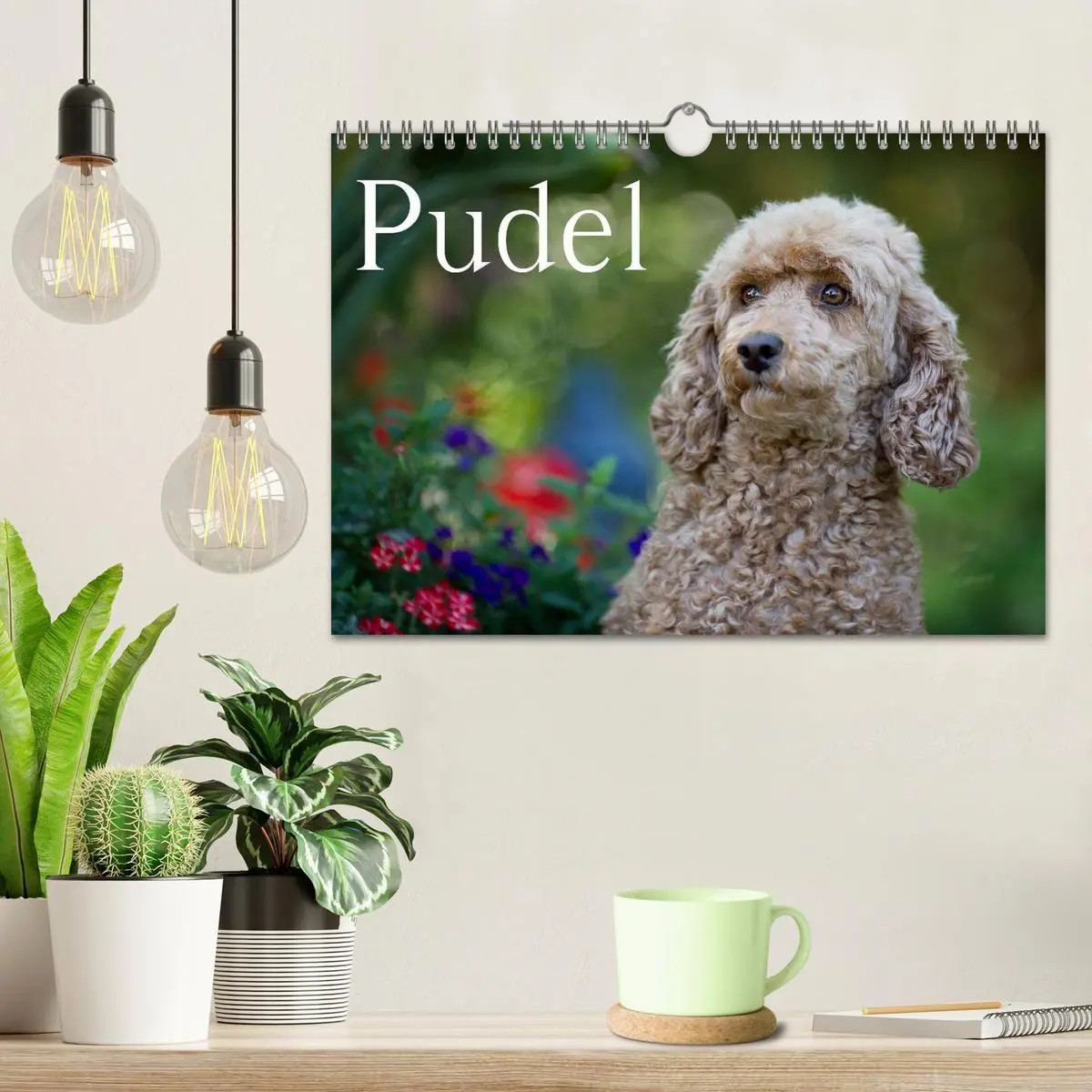 Bild: 9783594152072 | Pudel (Wandkalender 2027 DIN A4 quer), CALVENDO Monatskalender | Noack