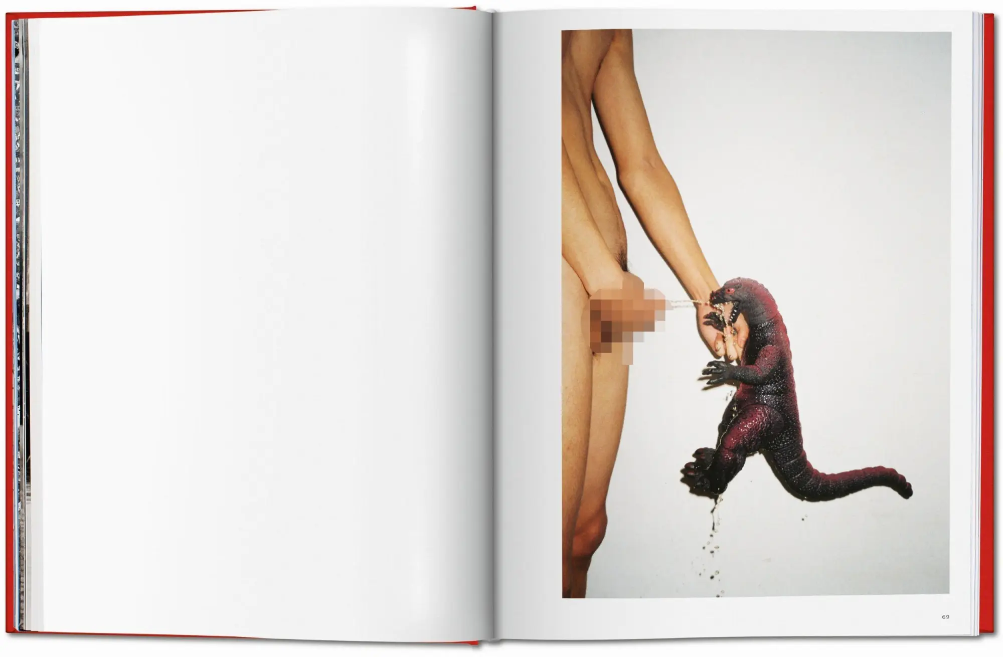 Bild: 9783836562072 | Ren Hang | Dian Hanson | Buch | Hardcover | 320 S. | Deutsch | 2016