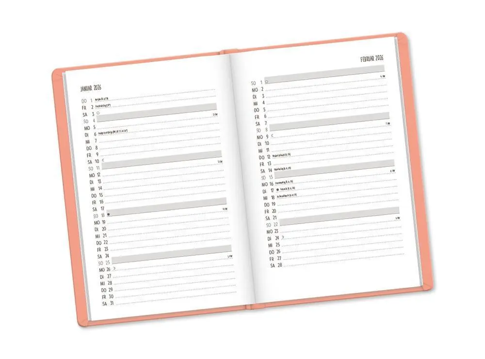 Bild: 9783986362072 | Terminplaner Lederlook 2026 Peach | Terminplaner Lederlook A6 | 136 S.