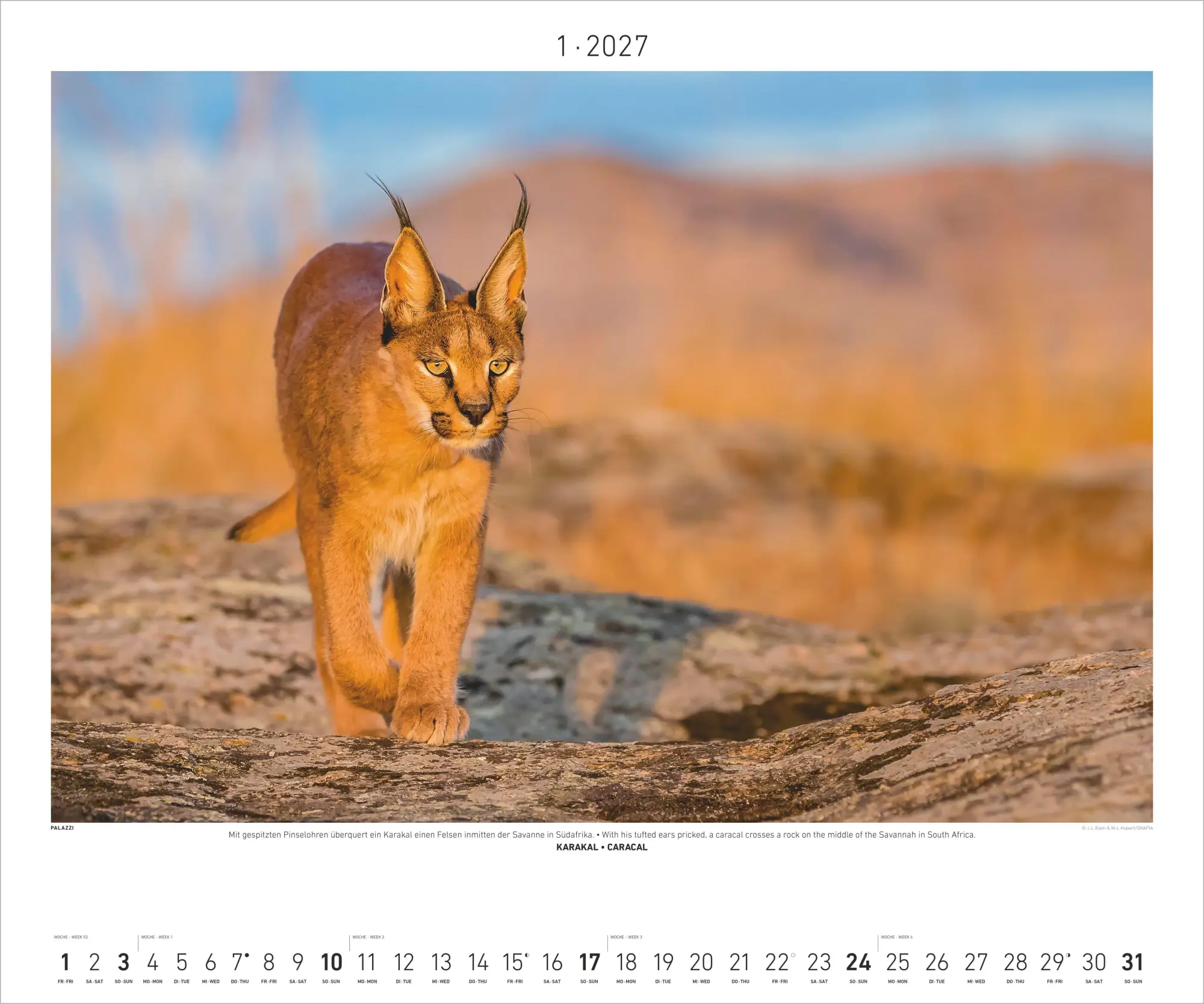 Bild: 4069095012172 | Hautnah - Afrikas Wildnis 2027 | Neumann Verlage GmbH &amp; Co KG | 14 S.