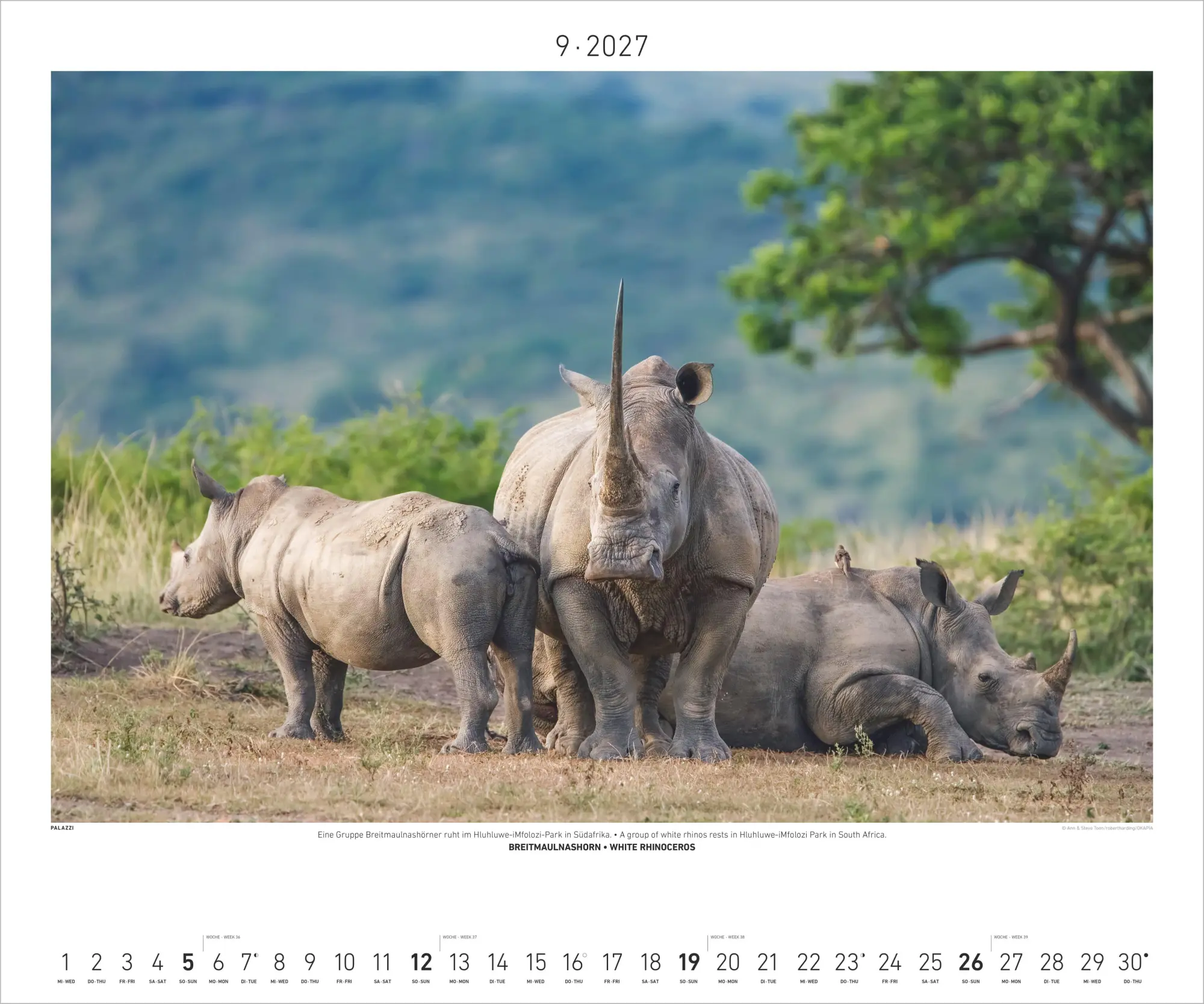 Bild: 4069095012172 | Hautnah - Afrikas Wildnis 2027 | Neumann Verlage GmbH &amp; Co KG | 14 S.