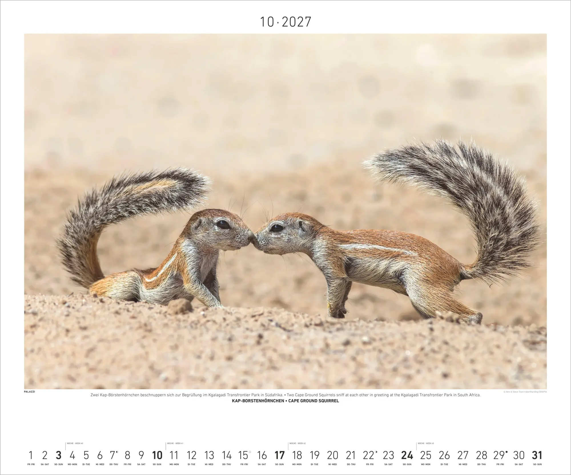 Bild: 4069095012172 | Hautnah - Afrikas Wildnis 2027 | Neumann Verlage GmbH &amp; Co KG | 14 S.