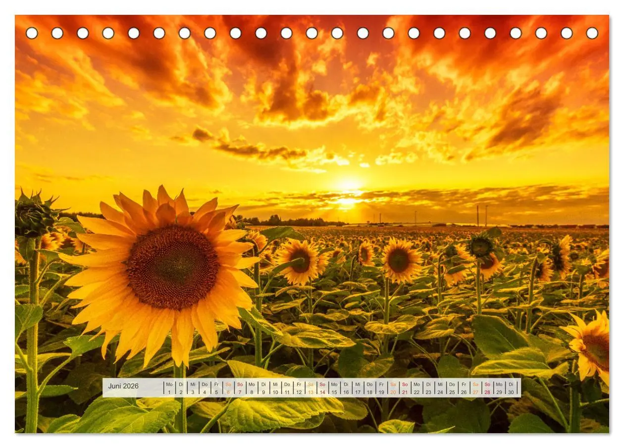 Bild: 9783457762172 | Schönes Magdeburg (Tischkalender 2026 DIN A5 quer), CALVENDO...