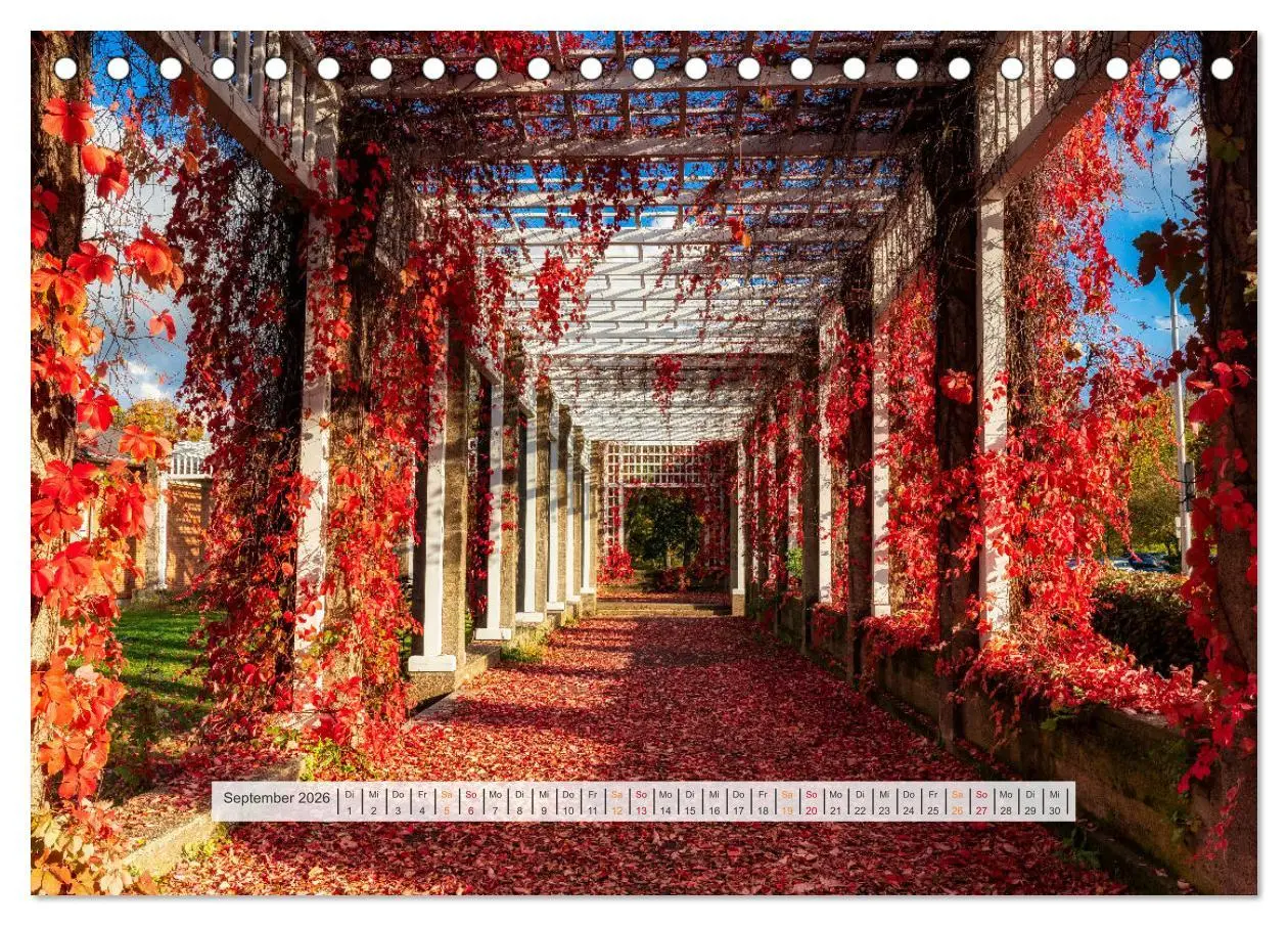 Bild: 9783457762172 | Schönes Magdeburg (Tischkalender 2026 DIN A5 quer), CALVENDO...