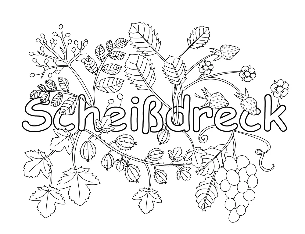 Bild: 9783832802172 | Fluch Dich frei! Vollidiot | Taschenbuch | 64 S. | Deutsch | 2016