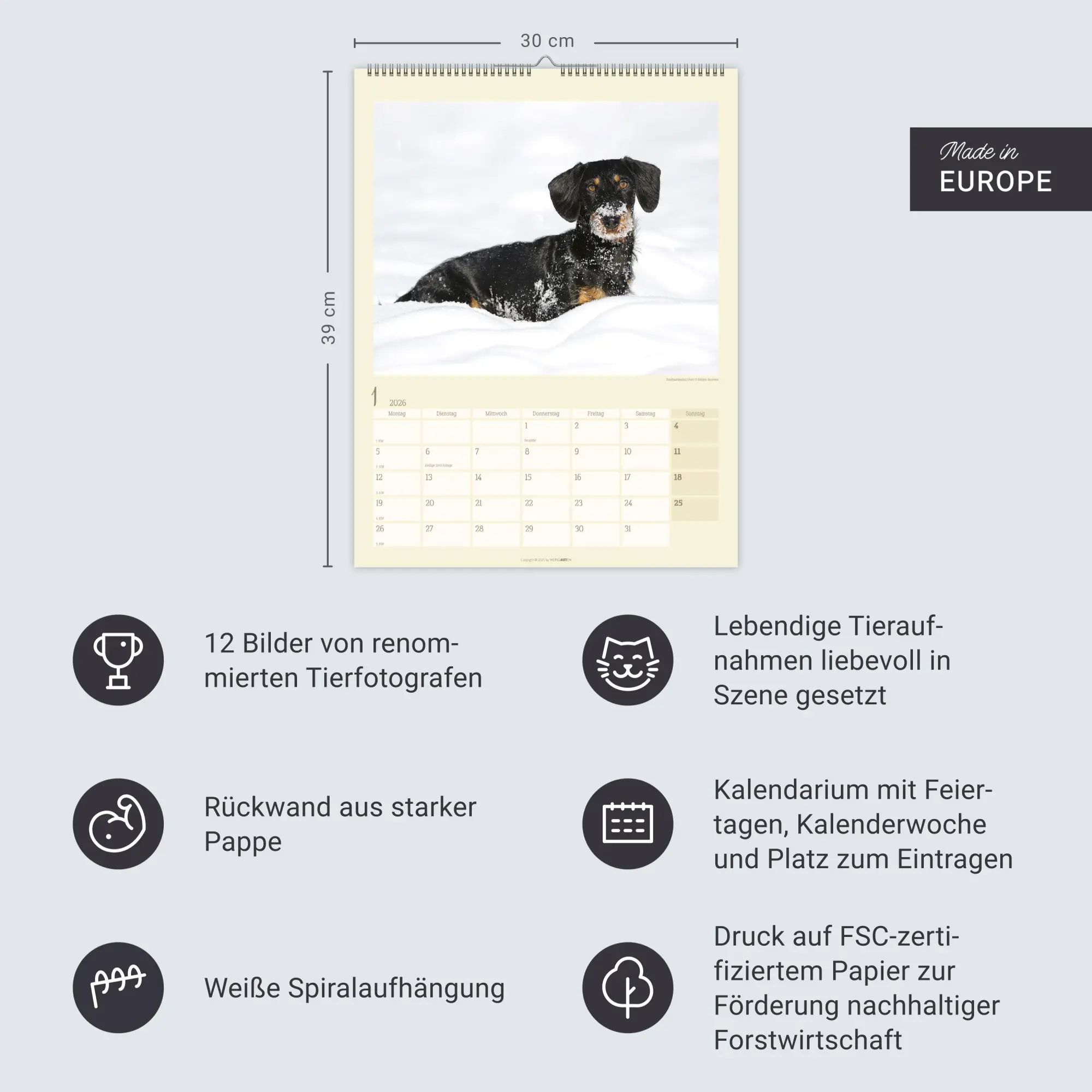 Bild: 9783839902172 | Dackel Kalender 2026 | Kalender | Tierkalender Weingarten | 14 S.