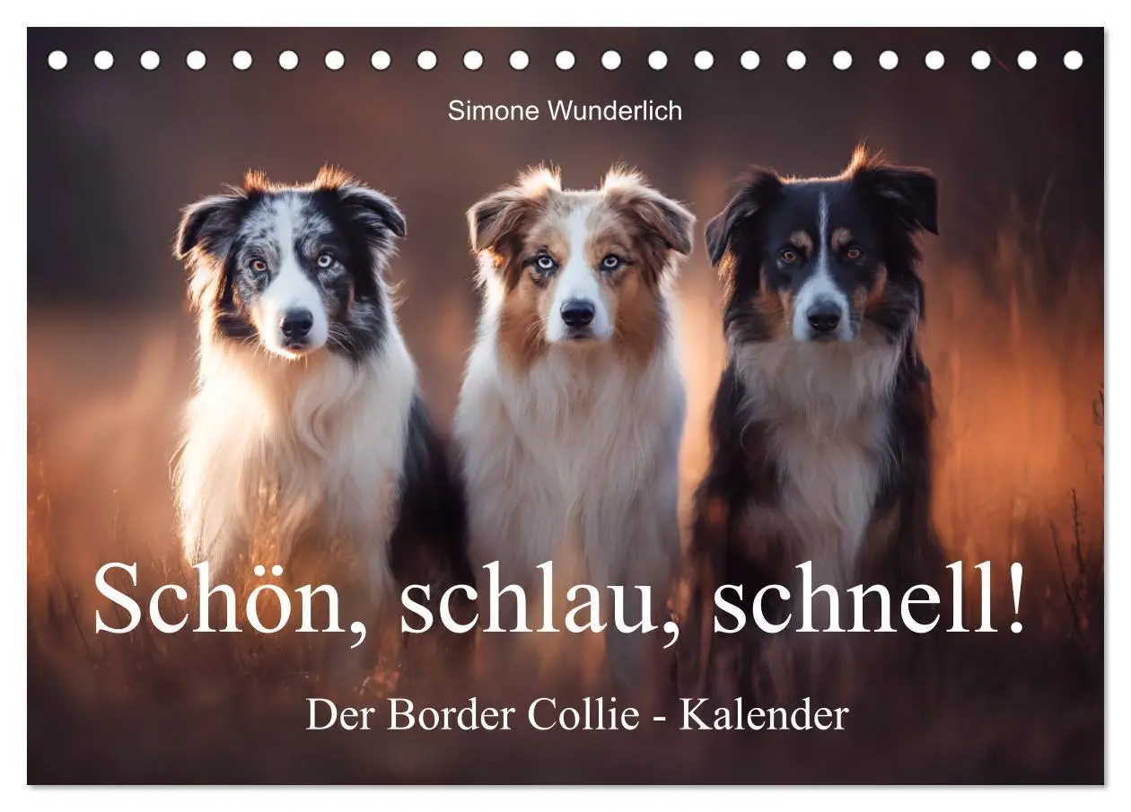 Cover: 9783516602272 | Schön, schlau, schnell! - Der Border Collie - Kalender...