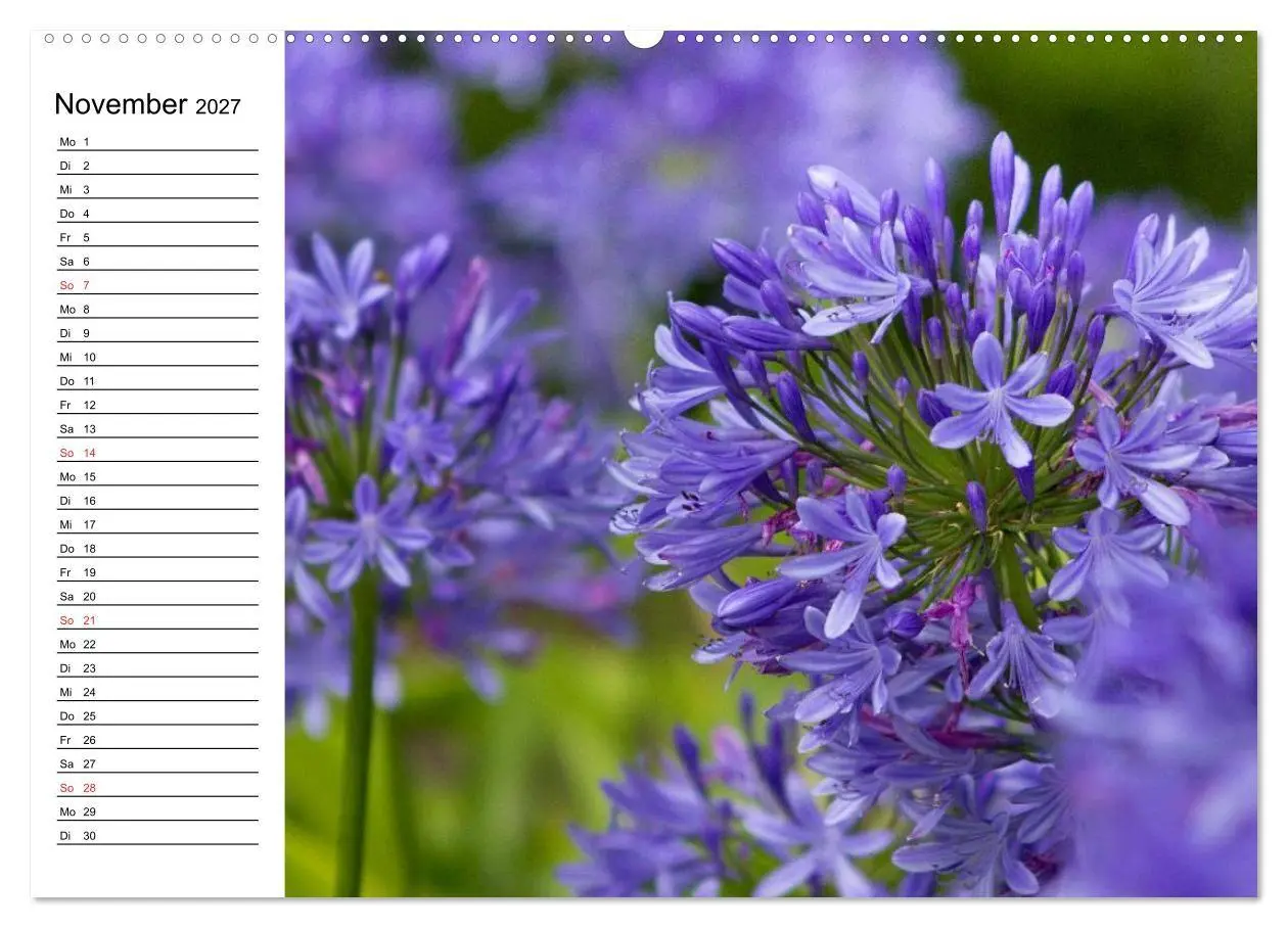 Bild: 9783569932272 | Azoren - São Miguel (hochwertiger Premium Wandkalender 2027 DIN A2...