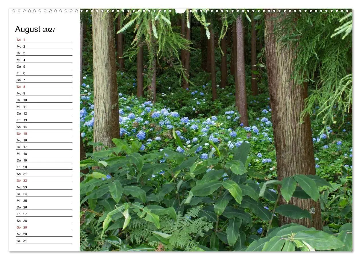 Bild: 9783569932272 | Azoren - São Miguel (hochwertiger Premium Wandkalender 2027 DIN A2...