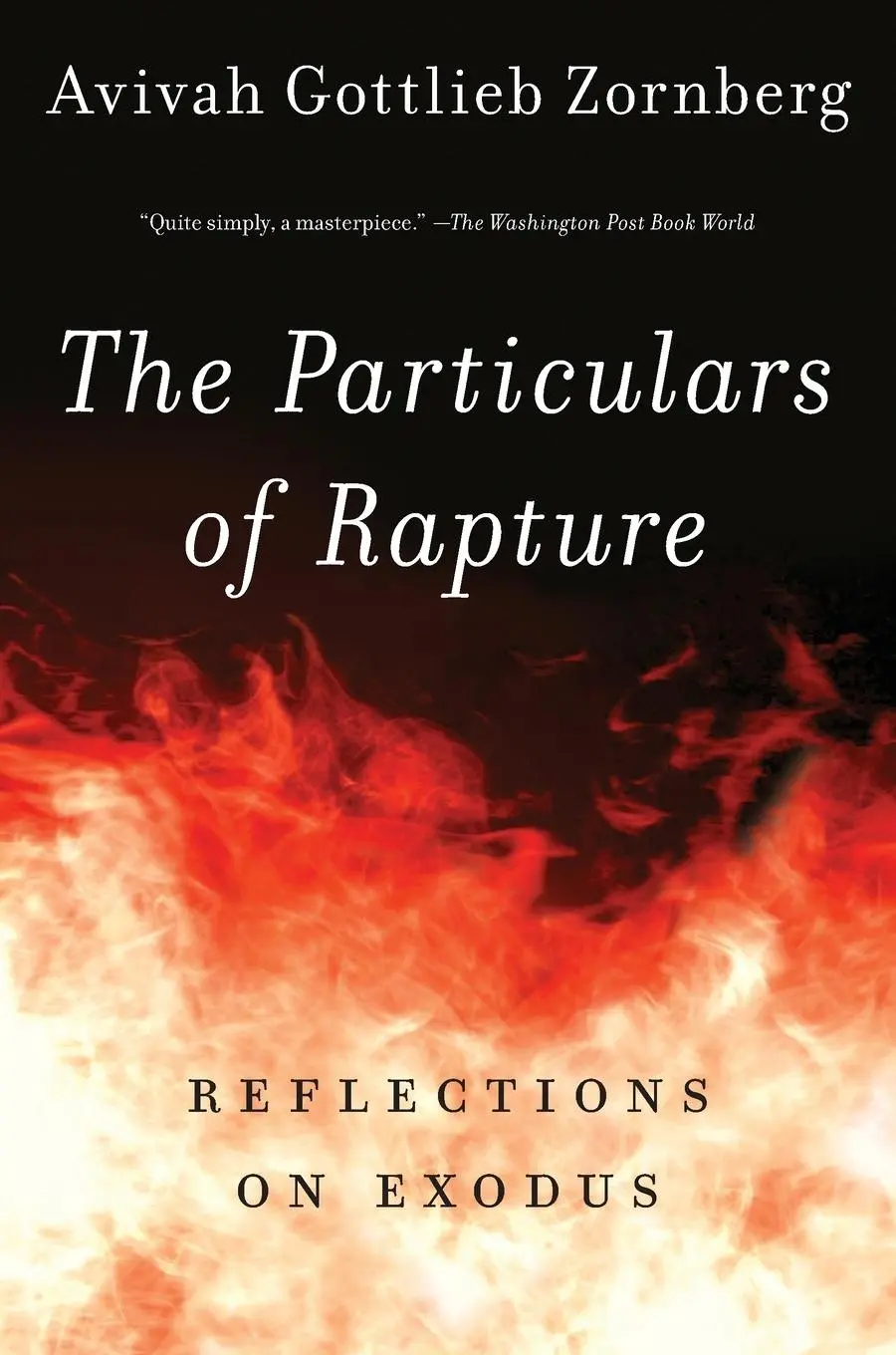 Cover: 9780805212372 | The Particulars of Rapture | Reflections on Exodos | Zornberg | Buch