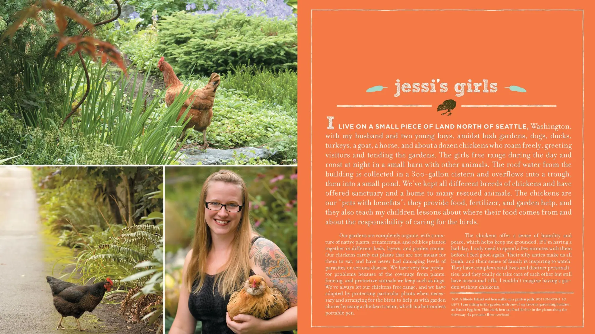 Bild: 9781604692372 | Free-Range Chicken Gardens | Jessi Bloom | Taschenbuch | Englisch