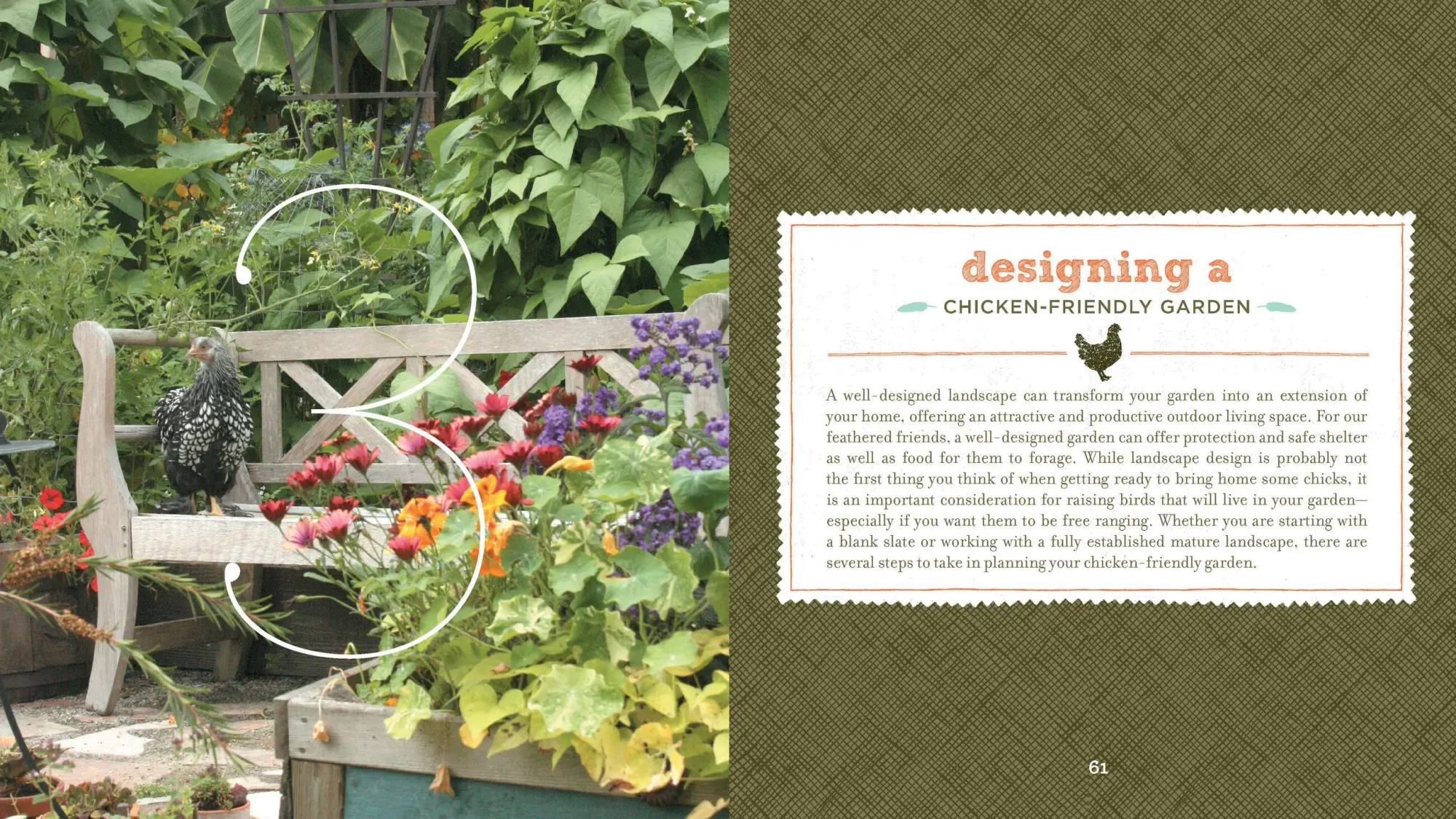 Bild: 9781604692372 | Free-Range Chicken Gardens | Jessi Bloom | Taschenbuch | Englisch