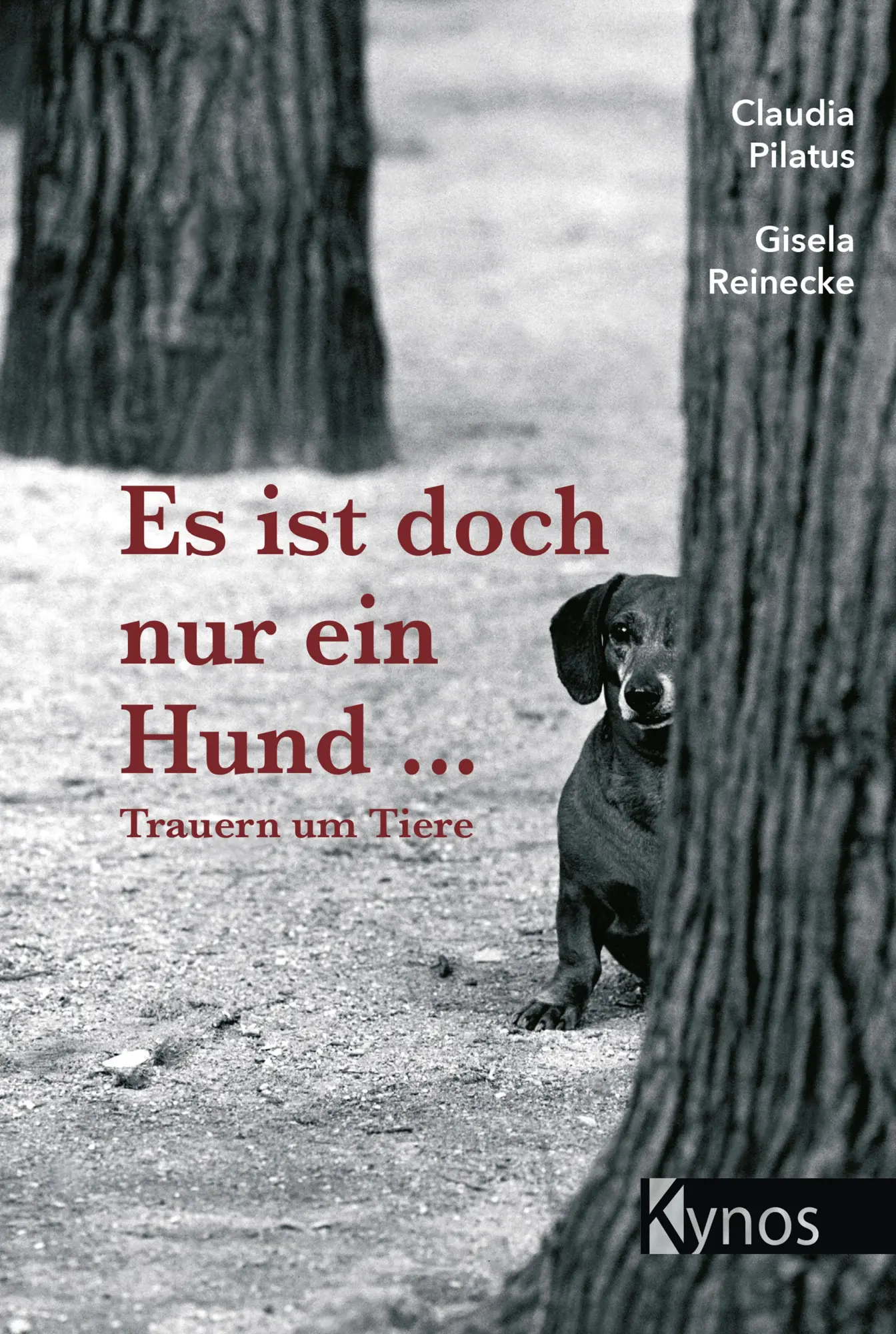 Cover: 9783954642472 | Es ist doch nur ein Hund ... | Trauer um Tiere | Pilatus (u. a.)