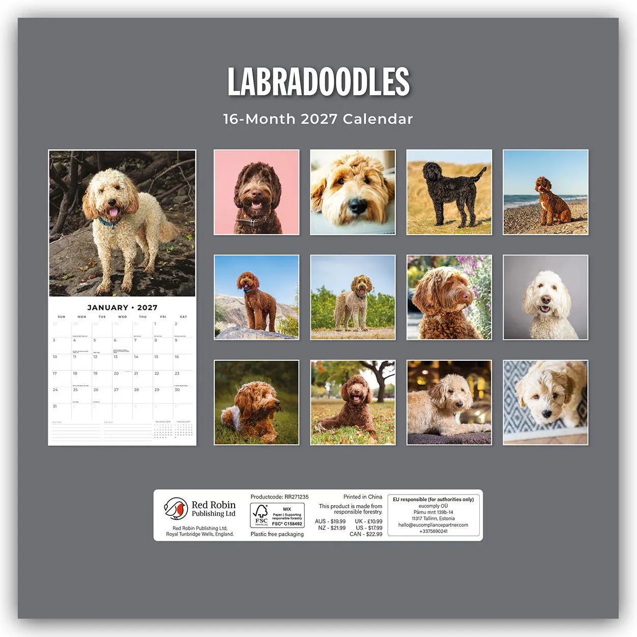 Rückseite: 9781837012572 | Labradoodles - Labradoodle 2027 - 16-Monatskalender | Robin Red | 2027