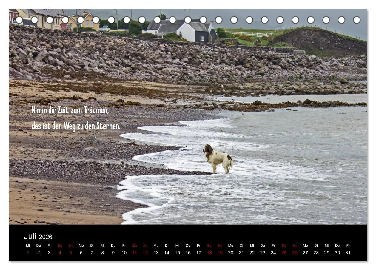 Bild: 9783457882672 | Irland - Irische Segenswünsche (Tischkalender 2026 DIN A5 quer),...
