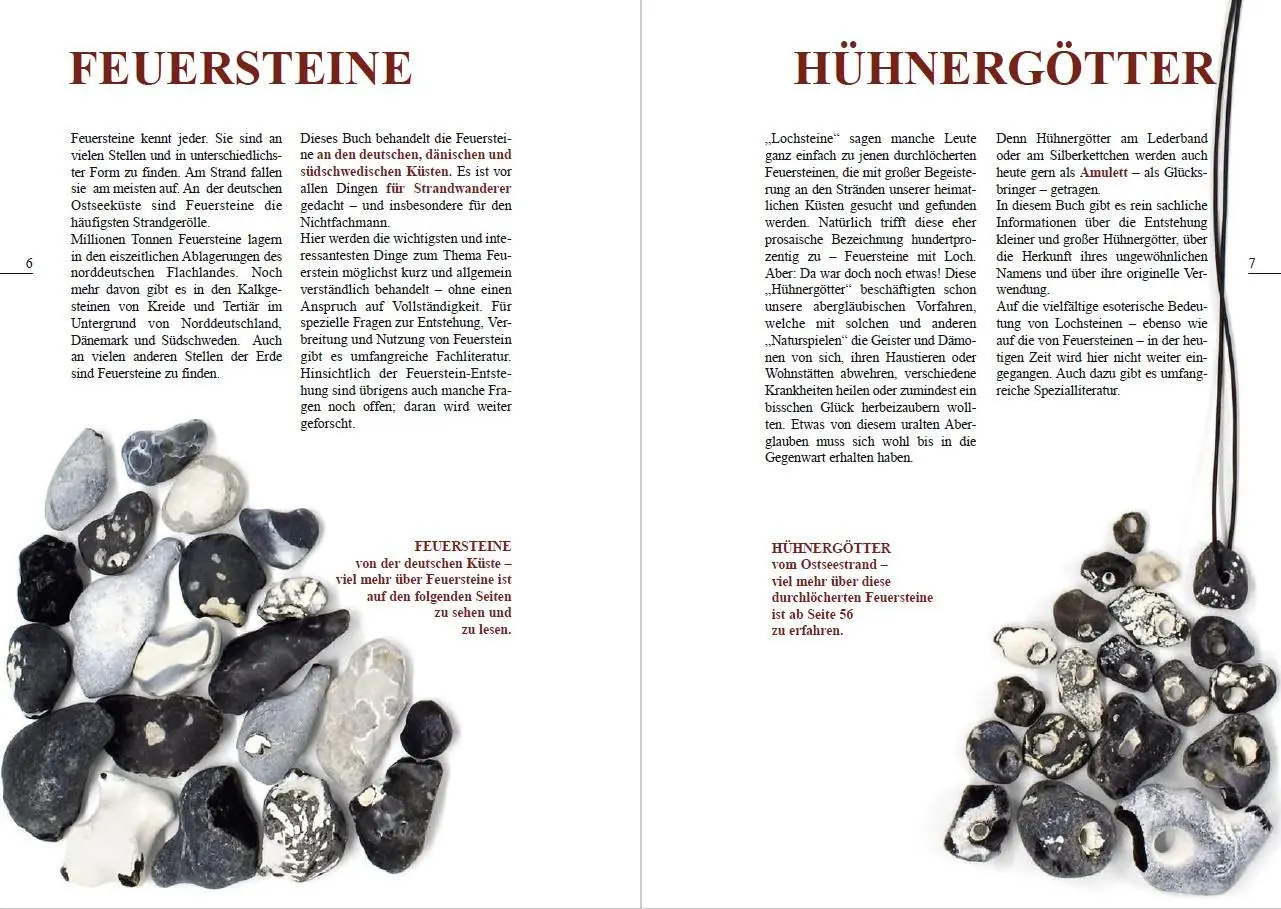 Bild: 9783944102672 | Feuersteine, Hühnergötter | Rolf Reinicke | Taschenbuch | 80 S. | 2025