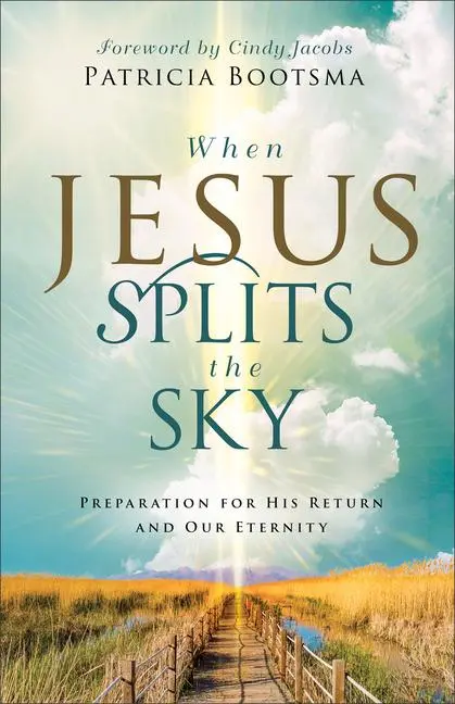 Cover: 9780800772772 | When Jesus Splits the Sky | Patricia Bootsma | Taschenbuch | Englisch