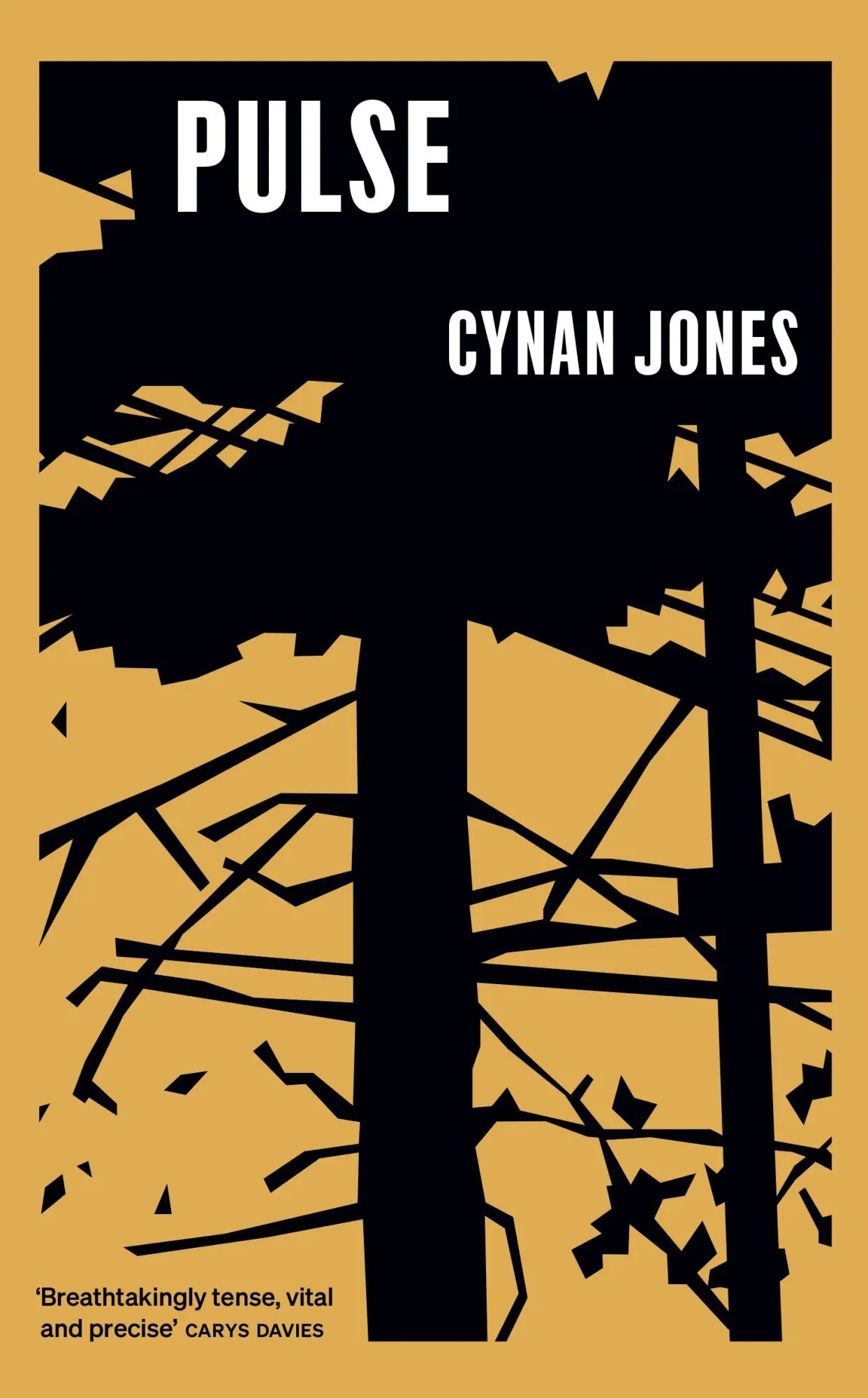 Cover: 9781783782772 | Pulse | Cynan Jones | Buch | Gebunden | Englisch | 2025