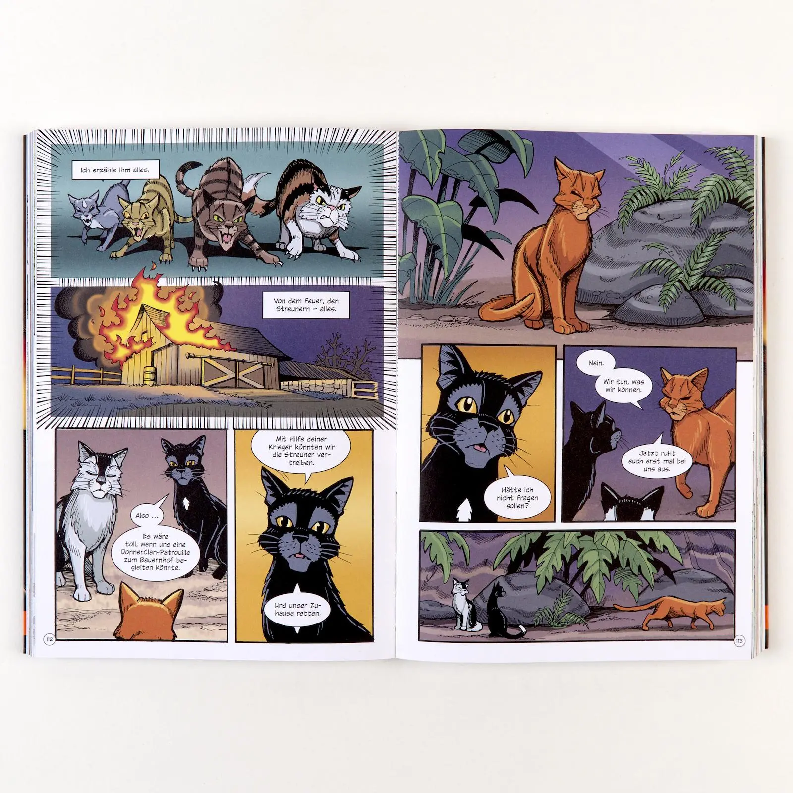 Bild: 9783407752772 | Warrior Cats - Rabenpfotes Weg | Erin Hunter (u. a.) | Taschenbuch