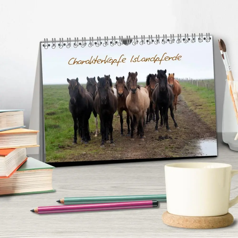 Bild: 9783435782772 | Charakterköpfe Islandpferde (Tischkalender 2025 DIN A5 quer),...