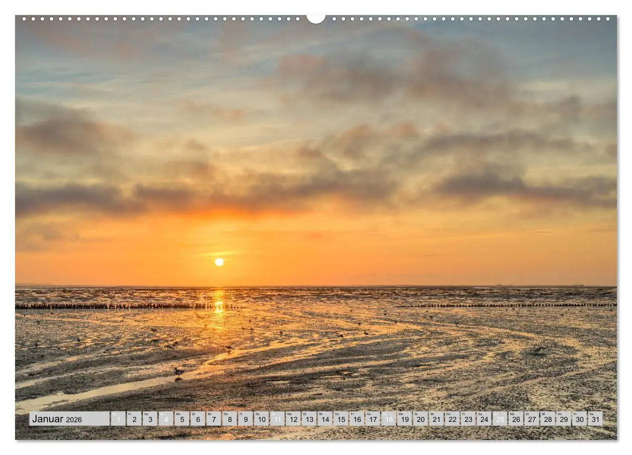 Bild: 9783457322772 | Wunderschönes Amrum (Wandkalender 2026 DIN A2 quer), CALVENDO...