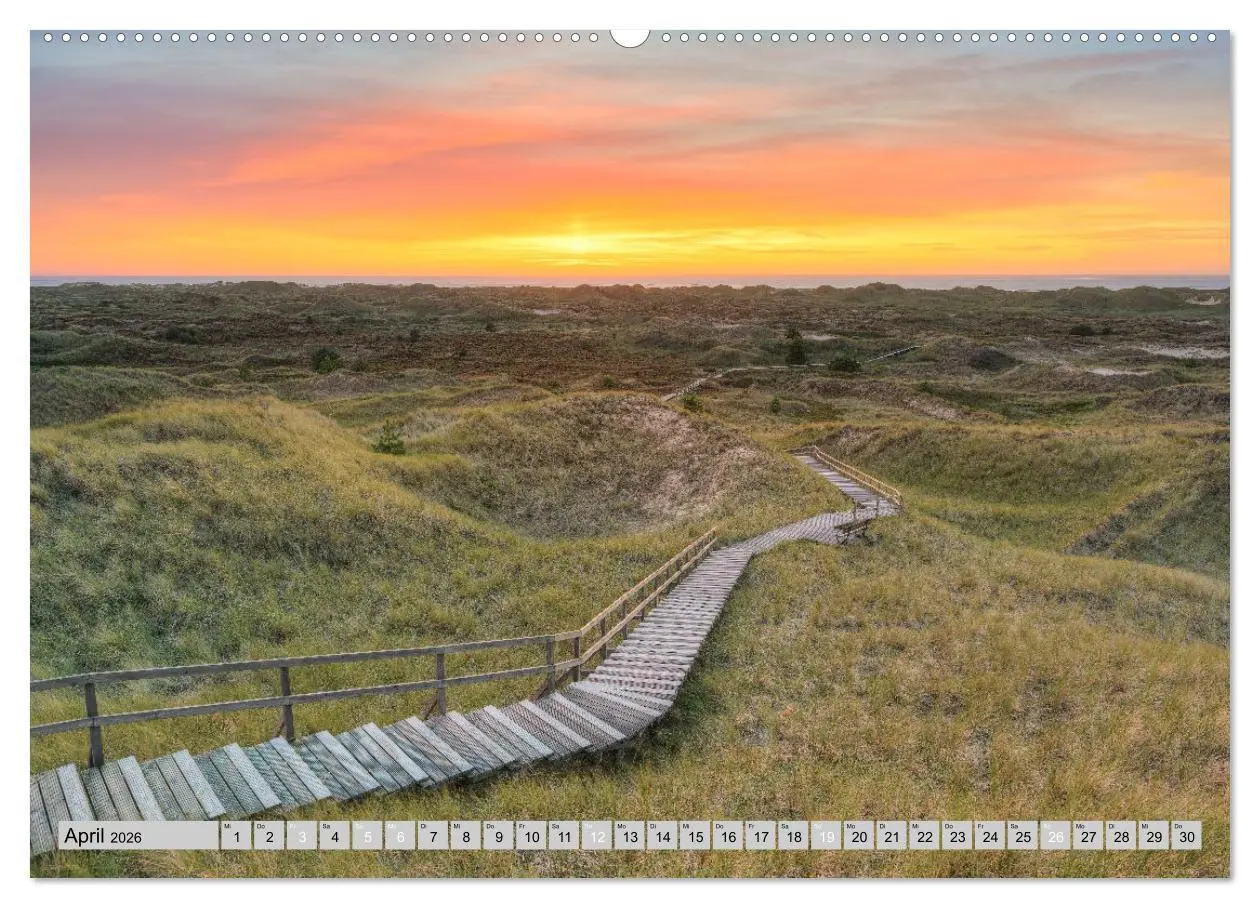 Bild: 9783457322772 | Wunderschönes Amrum (Wandkalender 2026 DIN A2 quer), CALVENDO...