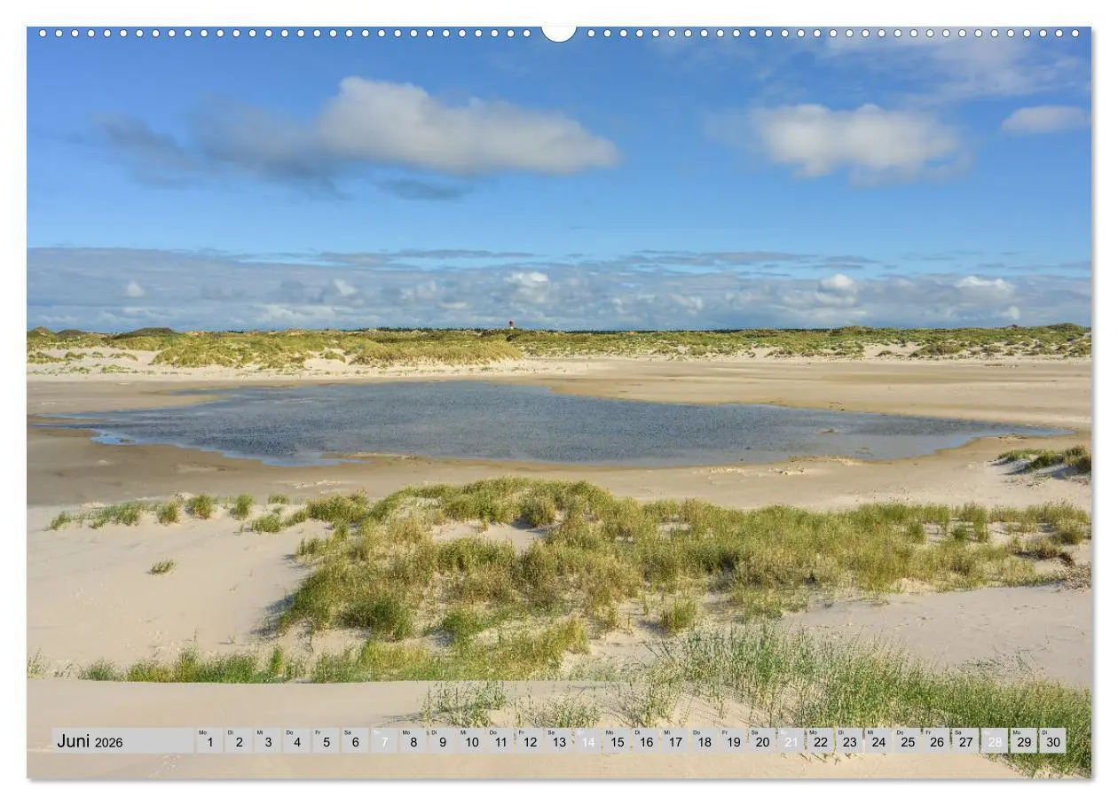 Bild: 9783457322772 | Wunderschönes Amrum (Wandkalender 2026 DIN A2 quer), CALVENDO...