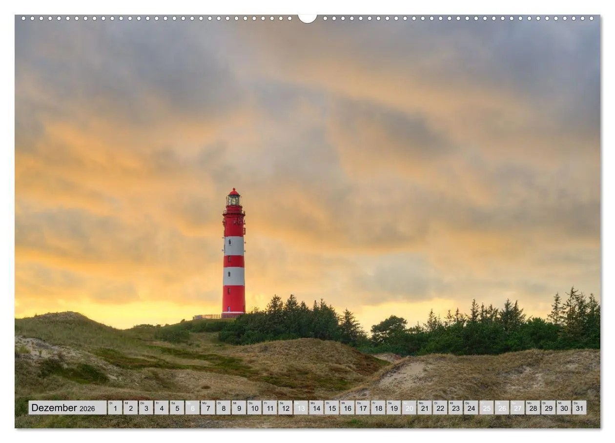 Bild: 9783457322772 | Wunderschönes Amrum (Wandkalender 2026 DIN A2 quer), CALVENDO...