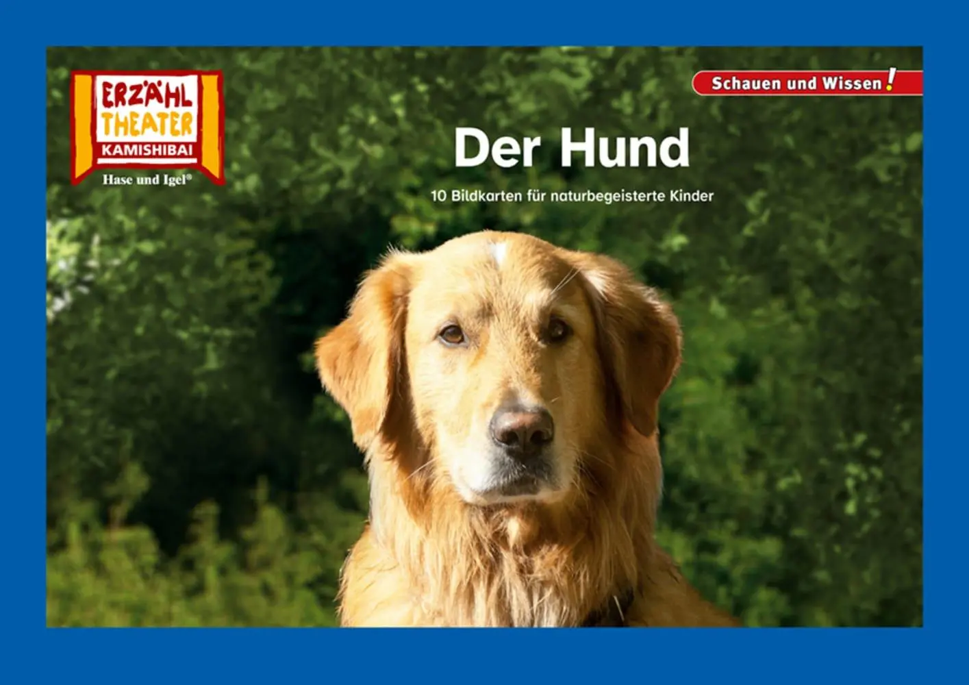 Cover: 4260505832872 | Der Hund / Kamishibai Bildkarten | Taschenbuch | 12 S. | Deutsch