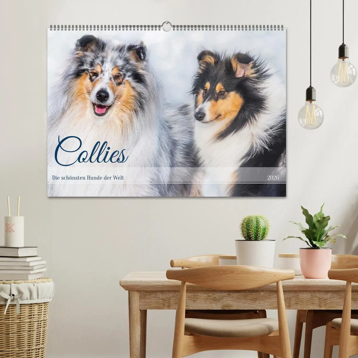 Bild: 9783457482872 | Collies - die schönsten Hunde der Welt (Wandkalender 2026 DIN A2...