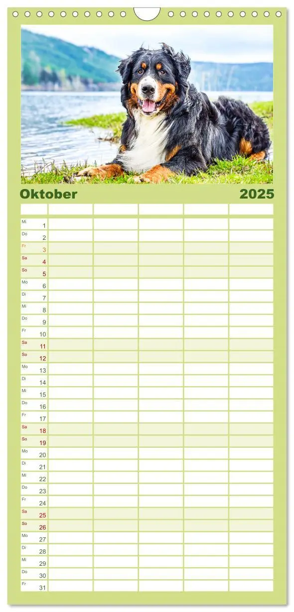 Bild: 9783457092972 | Familienplaner 2025 - Berner Sennenhunde - Traumhunde mit Charme...