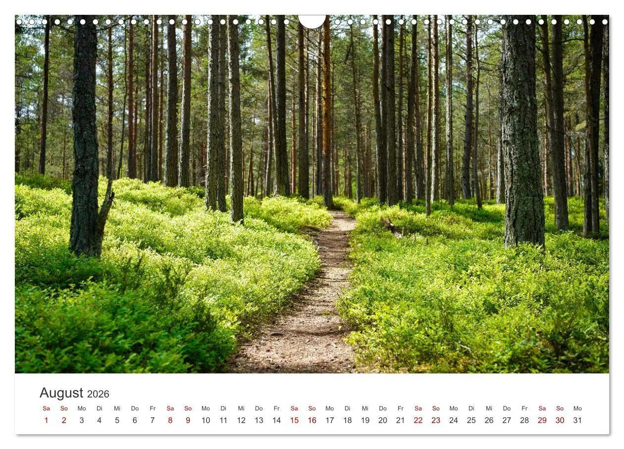 Bild: 9783457612972 | Estland - Ein unterschätztes Reiseziel. (Wandkalender 2026 DIN A3...