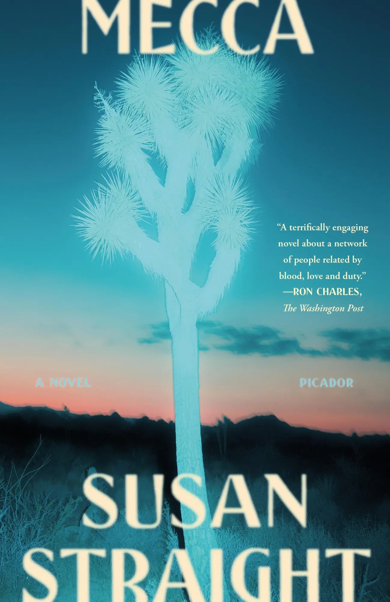 Cover: 9781250863072 | Mecca | Susan Straight | Taschenbuch | Kartoniert / Broschiert | 2023