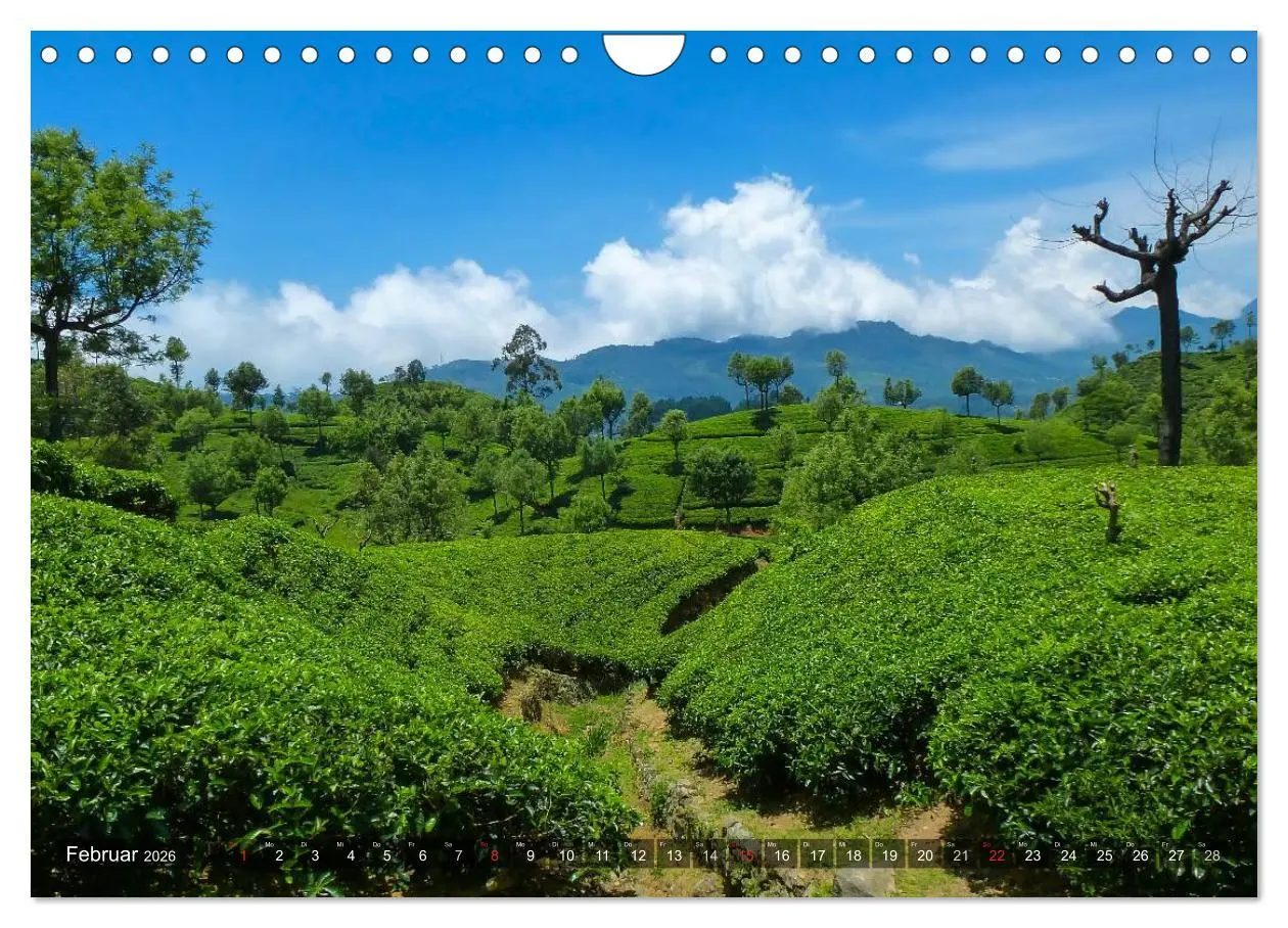 Bild: 9783516213072 | Sri Lanka - Eine Bilder-Reise (Wandkalender 2026 DIN A4 quer),...