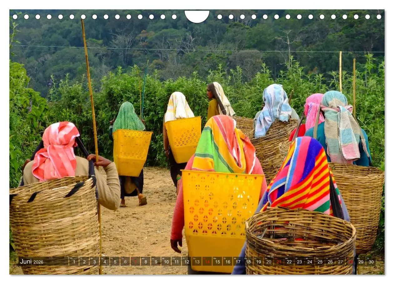 Bild: 9783516213072 | Sri Lanka - Eine Bilder-Reise (Wandkalender 2026 DIN A4 quer),...