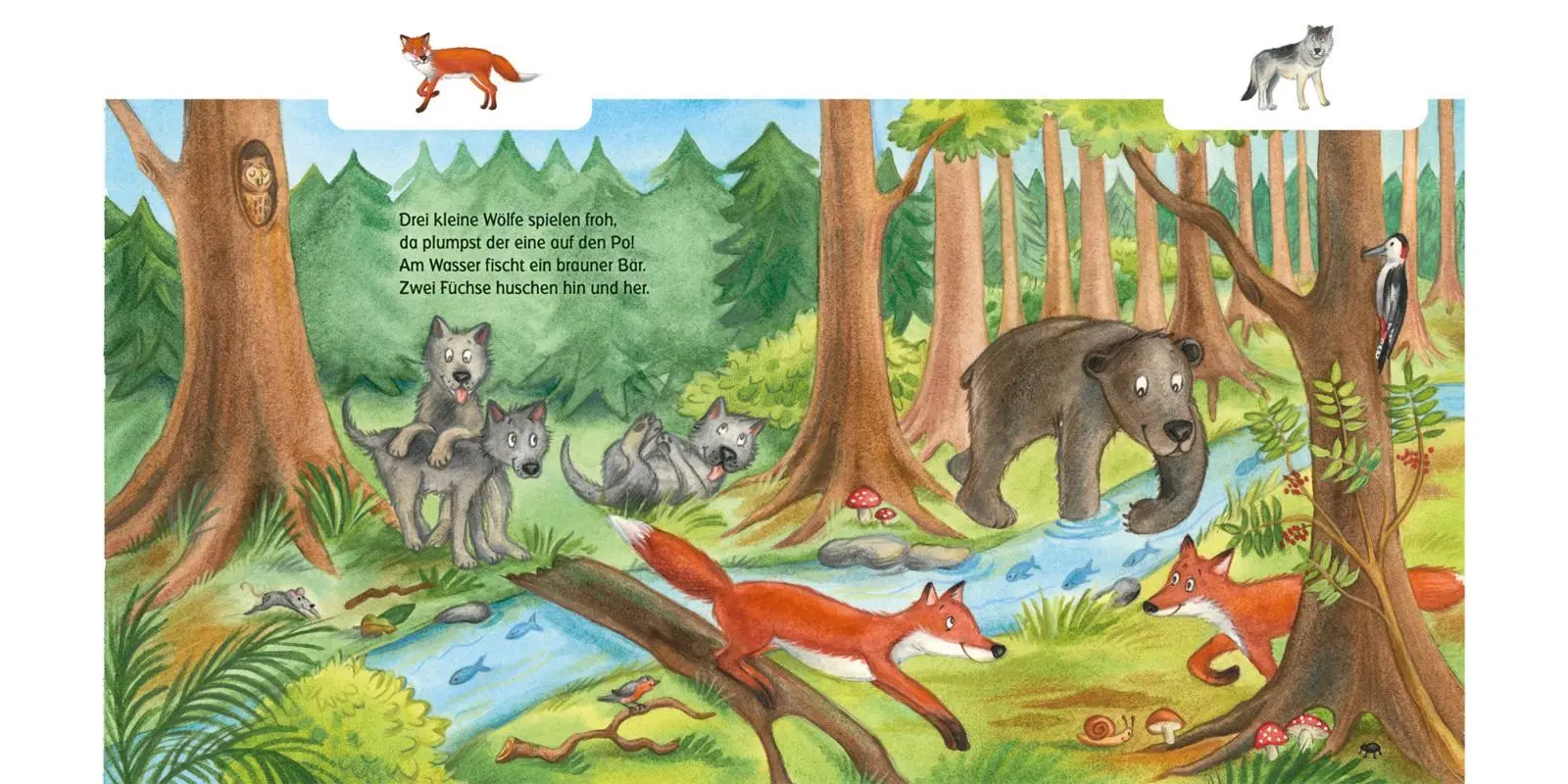 Bild: 9783551173072 | Schau mal, die großen Tiere! | Anni Demel | Buch | 16 S. | Deutsch
