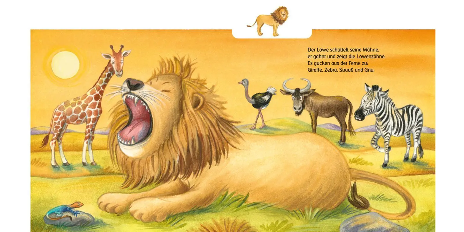 Bild: 9783551173072 | Schau mal, die großen Tiere! | Anni Demel | Buch | 16 S. | Deutsch