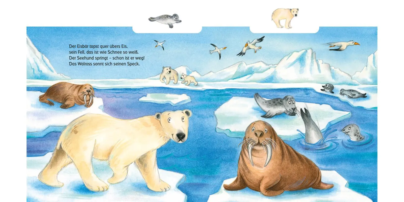 Bild: 9783551173072 | Schau mal, die großen Tiere! | Anni Demel | Buch | 16 S. | Deutsch