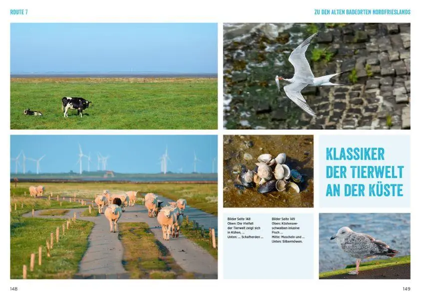 Bild: 9783734323072 | Nordseeküste mit dem Wohnmobil | Michael Moll | Taschenbuch | 216 S.