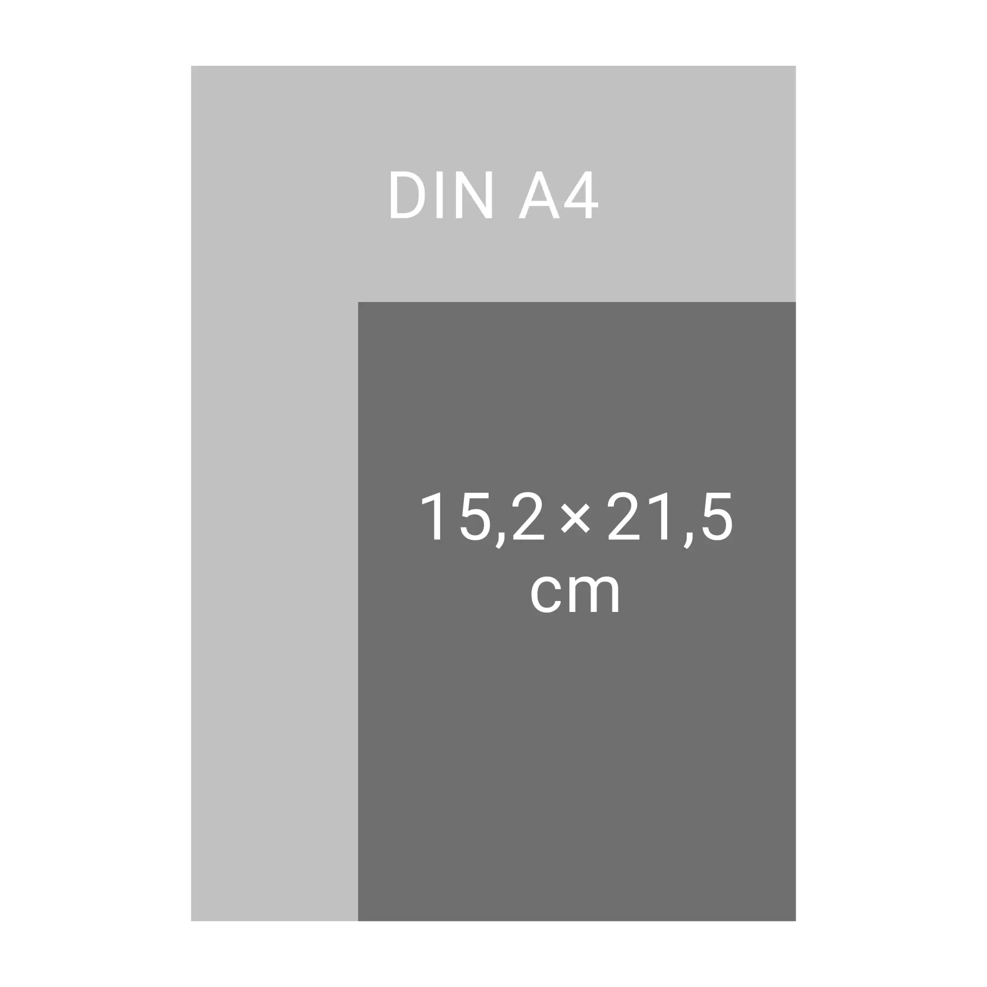 Bild: 9783756413072 | Tages-Cheftimer A5, rot 2026 | Heye | Buch | Bürokalender Heye | 2026