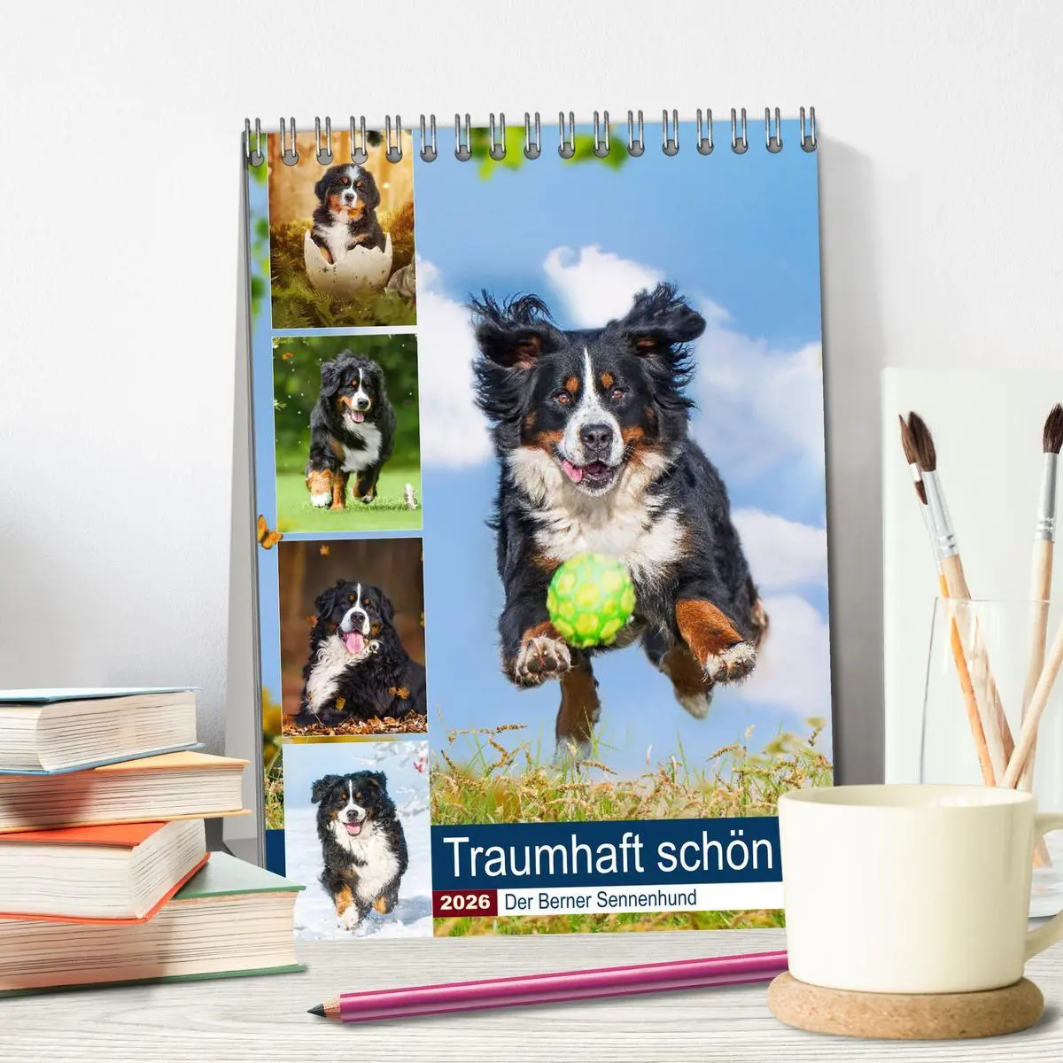 Bild: 9783516373172 | Traumhaft schön - Der Berner Sennenhund (Tischkalender 2026 DIN A5...