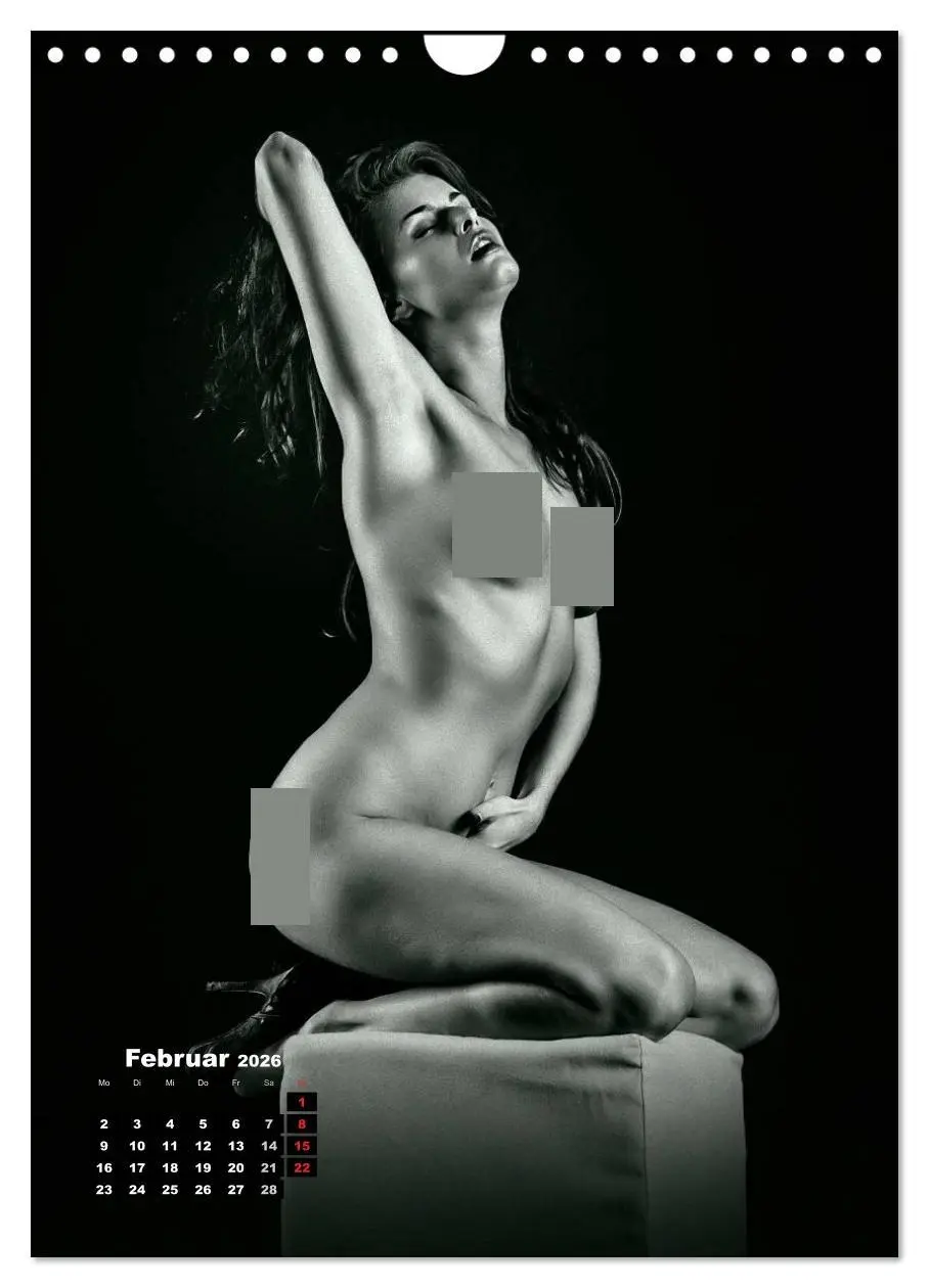 Bild: 9783516443172 | Klassische Erotik 2026 (Wandkalender 2026 DIN A4 hoch), CALVENDO...