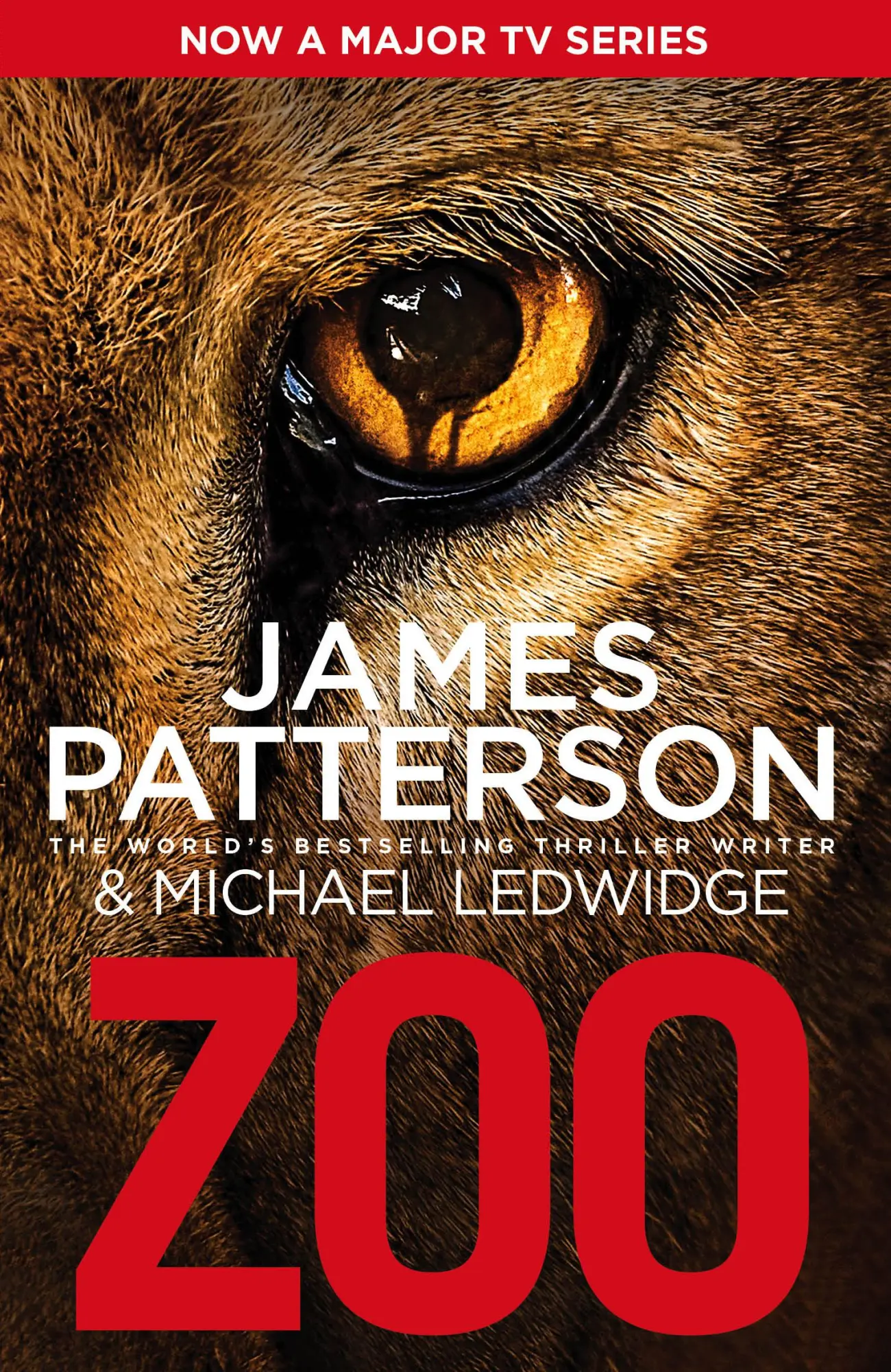 Cover: 9780099553472 | Zoo | James Patterson | Taschenbuch | 486 S. | Englisch | 2013