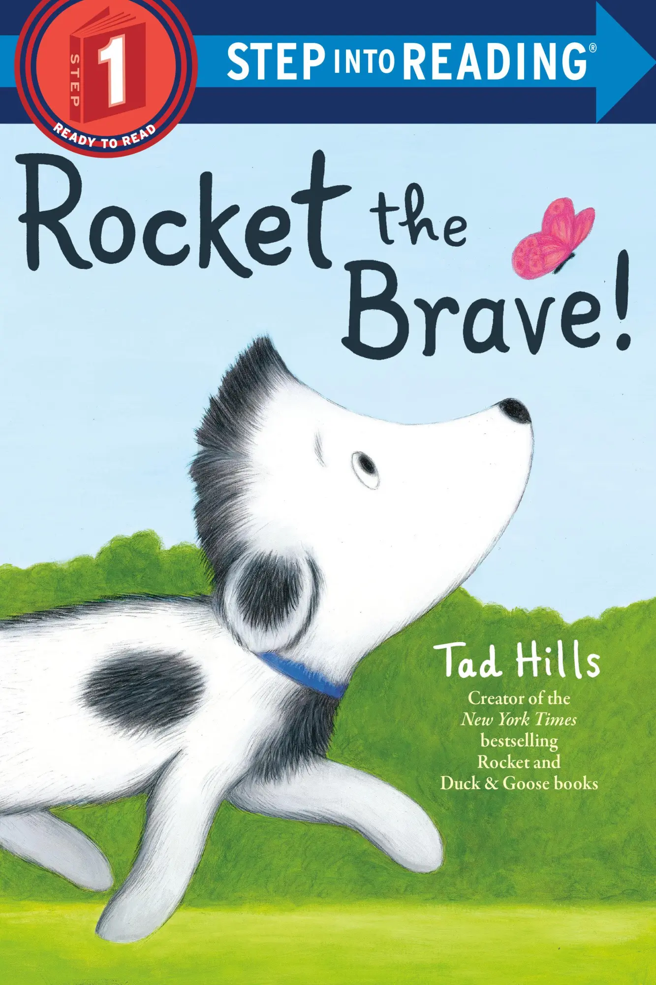 Cover: 9781524773472 | Rocket the Brave! | Tad Hills | Taschenbuch | 32 S. | Englisch | 2018