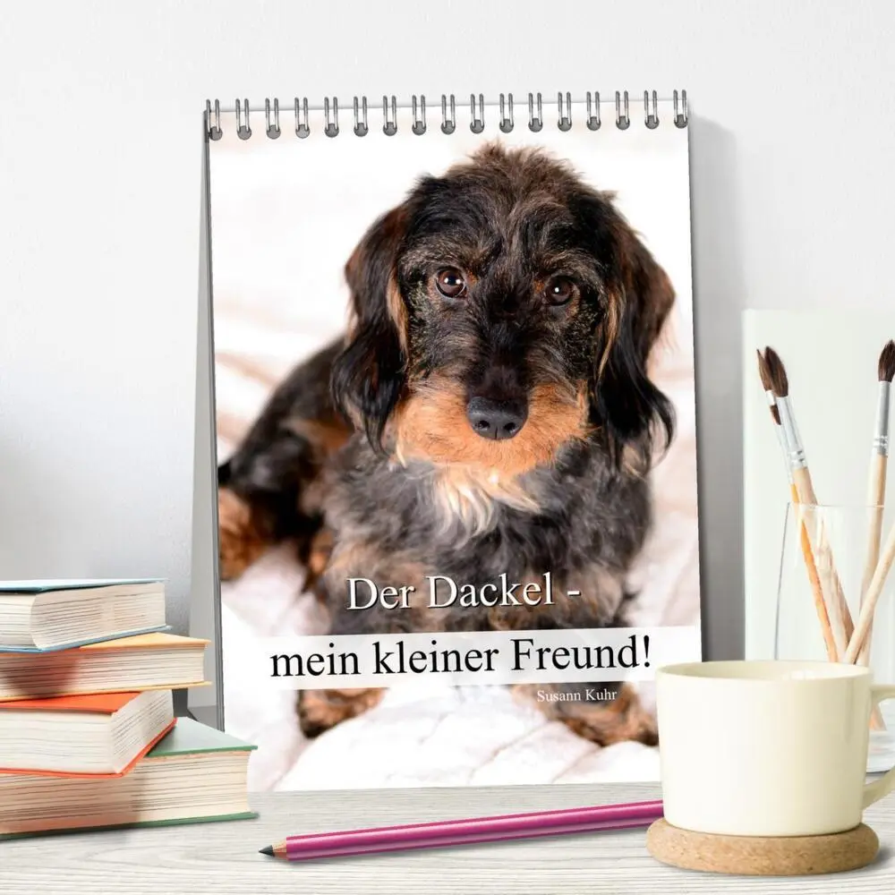 Bild: 9783457013472 | Der Dackel - mein kleiner Freund (Tischkalender 2025 DIN A5 hoch),...