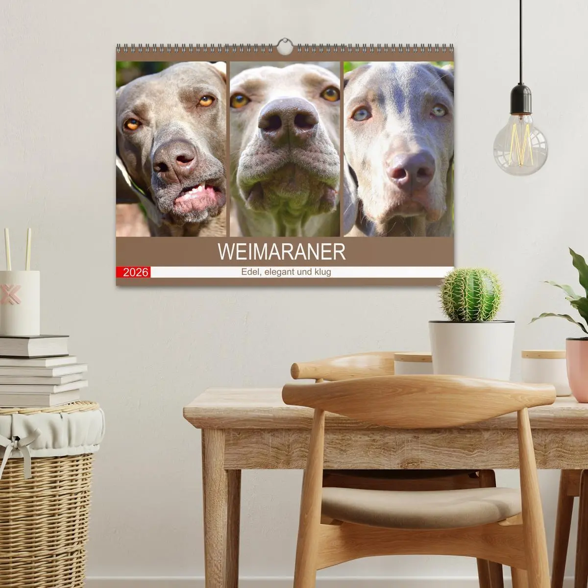Bild: 9783457633472 | Weimaraner. Edel, elegant und klug (Wandkalender 2026 DIN A3 quer),...