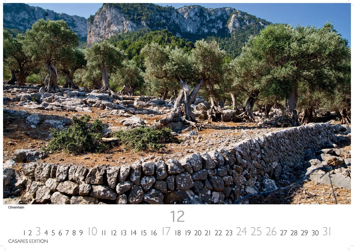Bild: 9781835243572 | Mallorca 2026 S 24x35 cm | Kalender | 14 S. | Deutsch | 2026