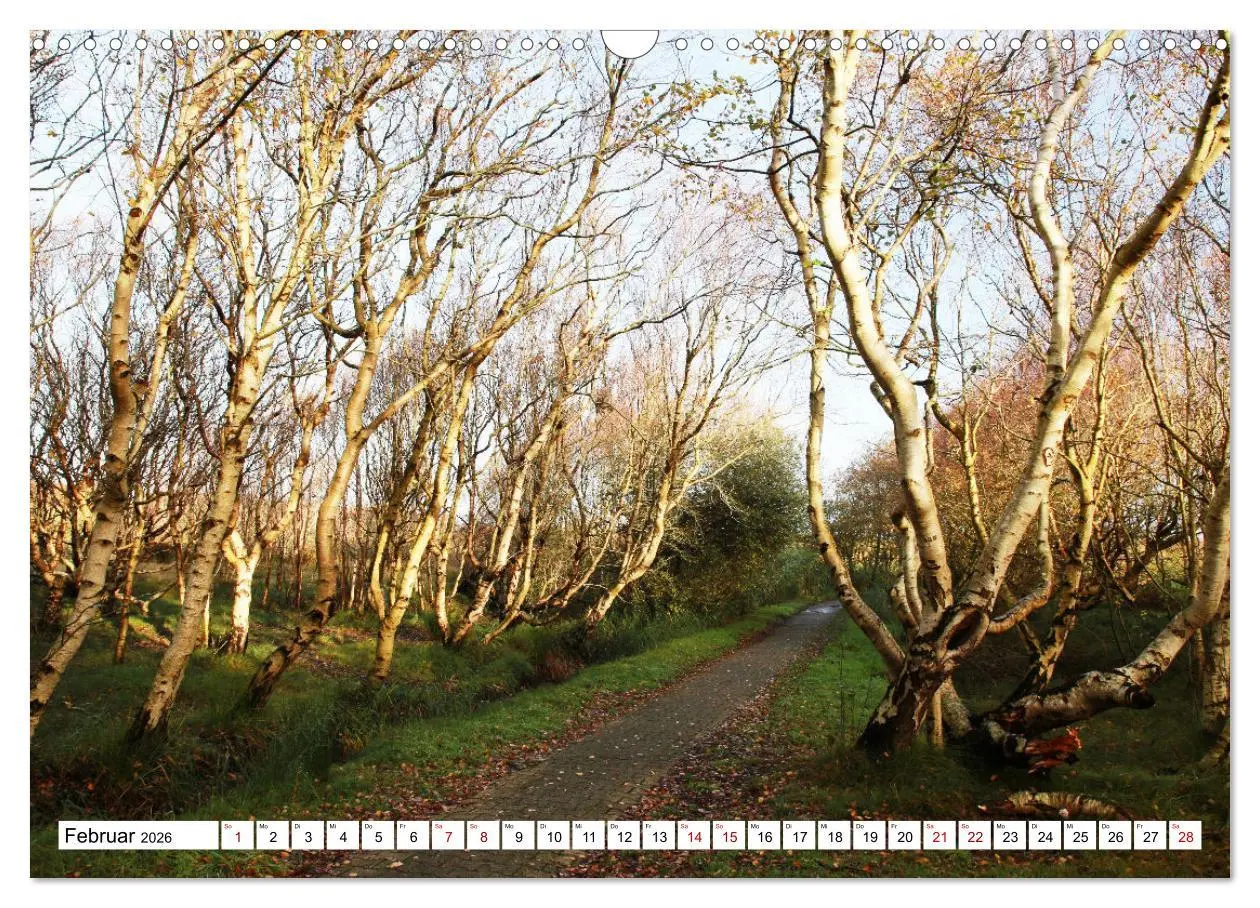 Bild: 9783457313572 | Insel Baltrum, Perle im Ostfriesischen Wattenmeer (Wandkalender...