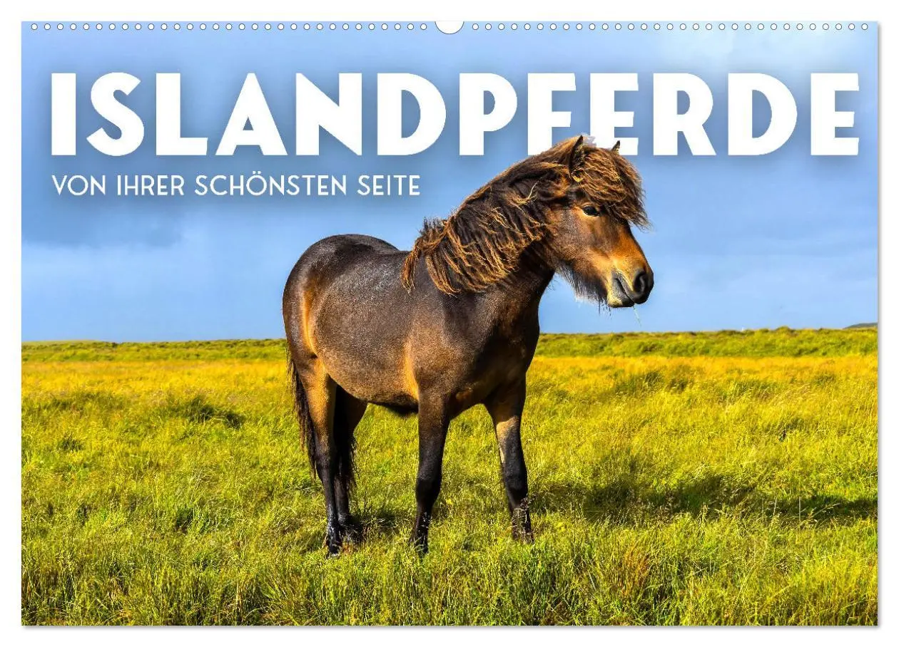 Cover: 9783457553572 | Islandpferde - Von ihrer schönsten Seite (Wandkalender 2026 DIN A2...