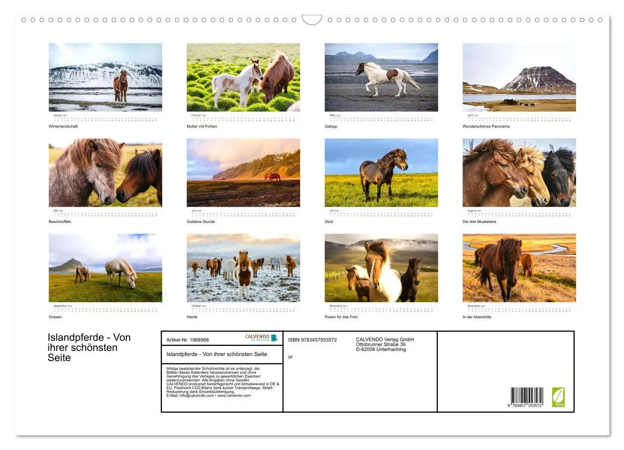 Bild: 9783457553572 | Islandpferde - Von ihrer schönsten Seite (Wandkalender 2026 DIN A2...